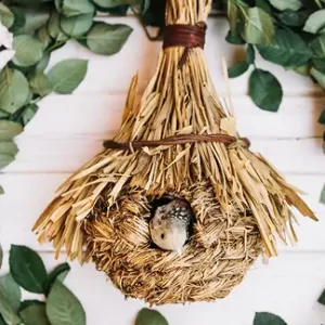 Birds Food