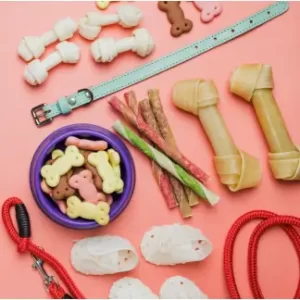 Pet Accessories
