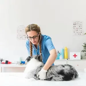 Pet Care