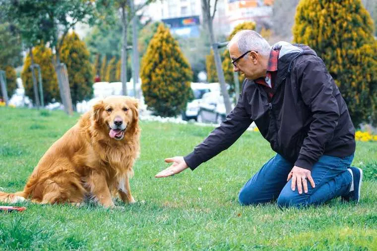 adiestramiento canino